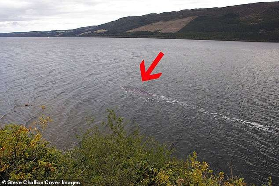 Hình ảnh rõ nét mới nhất về “quái vật” hồ Loch Ness? - 2 Hình ảnh rõ nét mới nhất về “quái vật” hồ Loch Ness? - 2