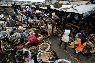 Chợ Long Biên vào tốp những khu chợ trời hấp dẫn nhất thế giới