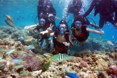 Bình Định đang là điểm đến “hot” trên bản đồ du lịch Việt Nam