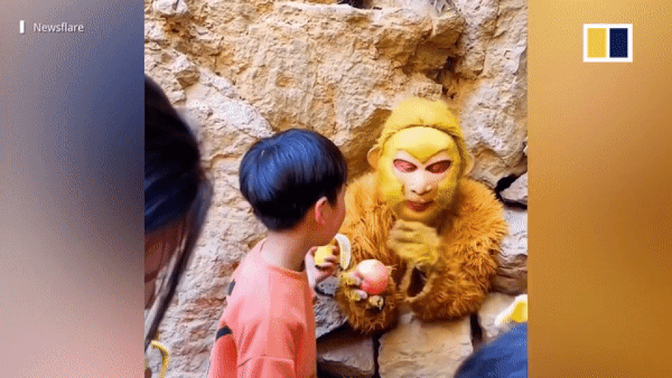 Video Tôn Ngộ Không bị giam dưới chân núi đợi du khách cho ăn gây sốt - 1 Video Tôn Ngộ Không bị giam dưới chân núi đợi du khách cho ăn gây sốt - 1