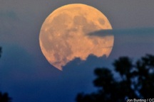 NASA dự đoán quỹ đạo Mặt trăng "chao đảo" sẽ gây thiên tai liên miên