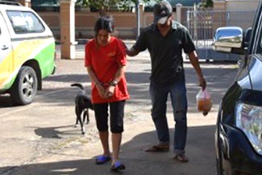 Hành trình truy bắt nữ nghi phạm giết người dã man cướp tài sản