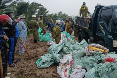 Gần 300 người “vá” đê trong mưa lớn