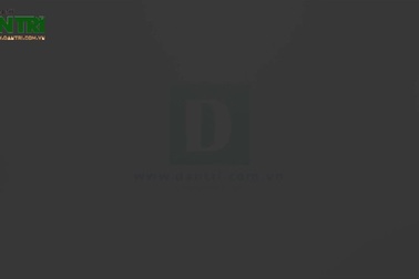 Video: Thanh niên tình nguyện thắp sáng đường quê