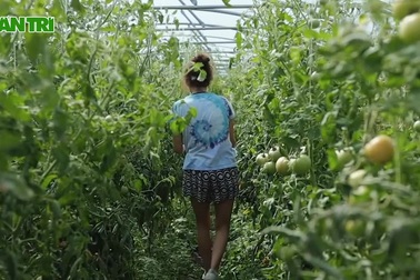 Nảy ý tưởng làm trang trại hữu cơ, chàng trai nhận được 1 tỷ đồng đầu tư