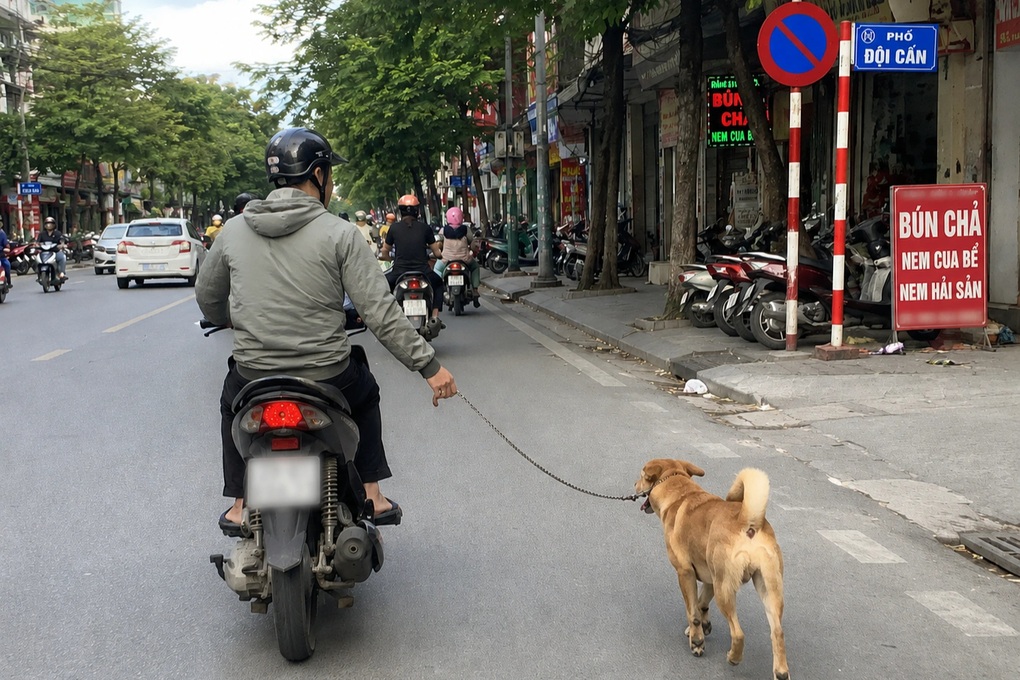 Những câu hỏi điểm liệt trong bài thi lý thuyết sát hạch lái xe (Phần 3) - 1 Những câu hỏi điểm liệt trong bài thi lý thuyết sát hạch lái xe (Phần 3) - 1