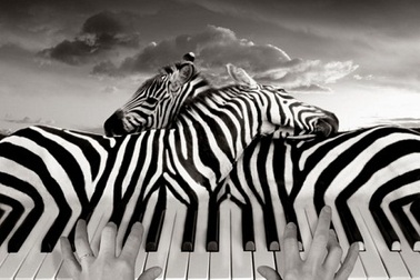 Sửng sốt bộ ảnh ghép siêu thực không cần dùng Photoshop