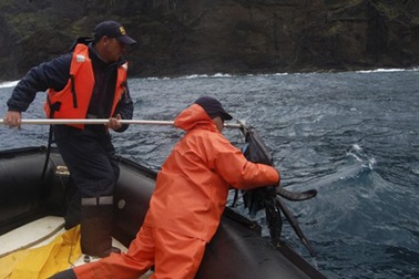 21 người chết vì tai nạn máy bay, Chile tuyên bố 2 ngày quốc tang