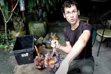 Khách Mỹ thảng thốt trước độ ngon của "loại trái lạ" Việt Nam