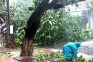 Đà Nẵng sau cơn bão số 8 