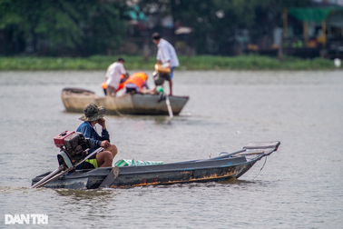 Lựa chọn phóng sinh