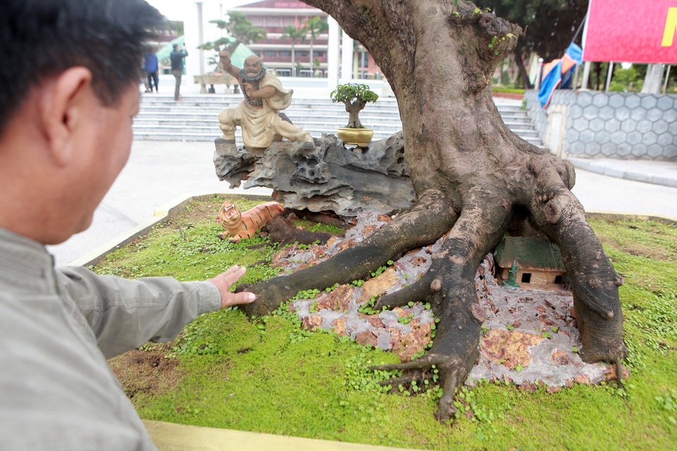 Sửng sốt với cây khế cổ dáng Long đẹp nhất Việt Nam có giá 5 tỷ đồng - 7 Sửng sốt với cây khế cổ dáng Long đẹp nhất Việt Nam có giá 5 tỷ đồng - 7