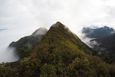 Lướt 4G trên đỉnh Tà Xùa - chuyện lạ mà thật