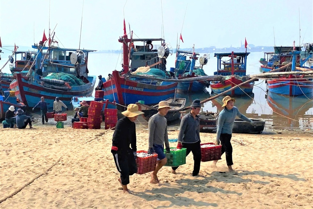 Trúng mùa cá cuối năm, ngư dân chia nhau tiền triệu mỗi ngày - 2 Trúng mùa cá cuối năm, ngư dân chia nhau tiền triệu mỗi ngày - 2