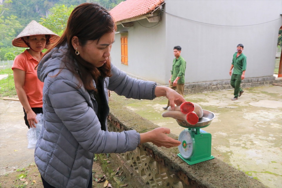 Nuôi con lấy thần dược giúp người dân ở Ninh Bình thoát nghèo - 5 Nuôi con lấy thần dược giúp người dân ở Ninh Bình thoát nghèo - 5