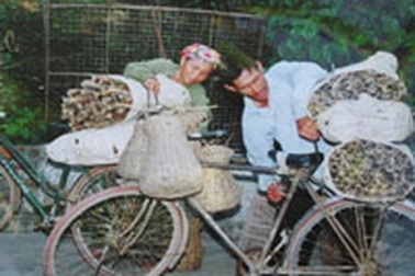 10 năm “nhử ống lươn” nuôi con vào giảng đường