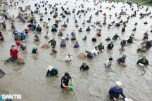 Độc đáo hàng nghìn "nơm thủ" lao xuống hồ đánh cá, tìm vận may ở Hà Tĩnh