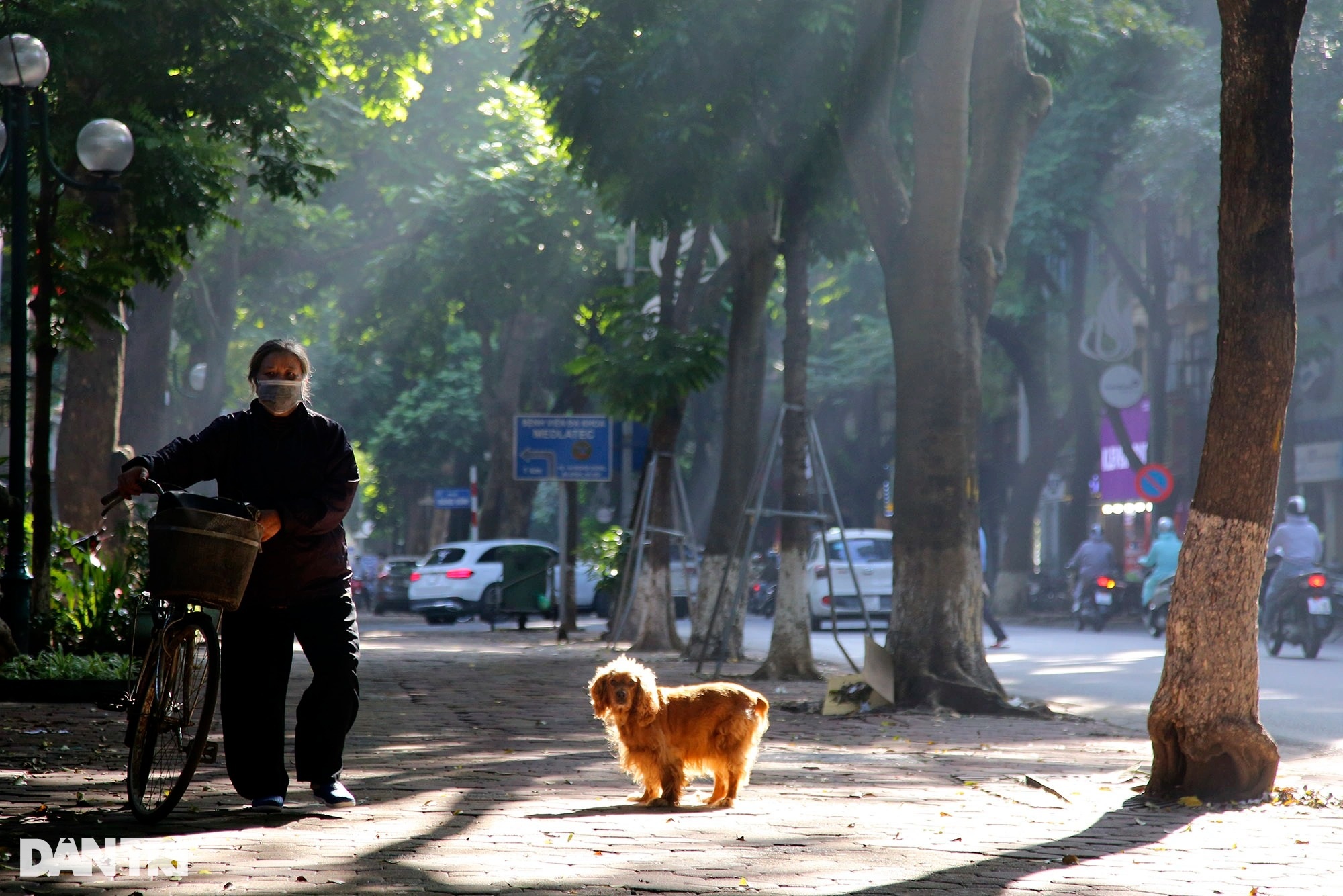 Hà Nội trong nhịp điệu nắng thu rực rỡ - 7 Hà Nội trong nhịp điệu nắng thu rực rỡ - 7