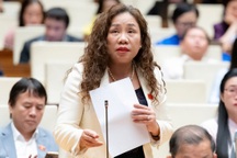 Đại biểu Quốc hội hiến kế để phát triển “nền kinh tế tóc bạc”