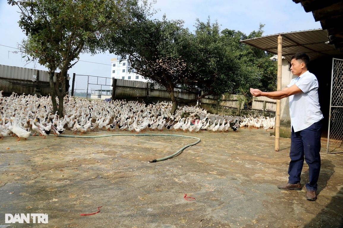 Vượt qua mặc cảm tù tội, trở thành ông chủ trang trại giàu có - 3 Vượt qua mặc cảm tù tội, trở thành ông chủ trang trại giàu có - 3