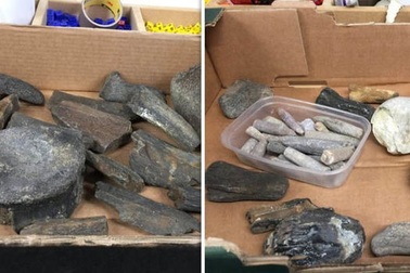Cửa hàng từ thiện được tặng hộp xương hóa thạch có thể năm triệu năm tuổi