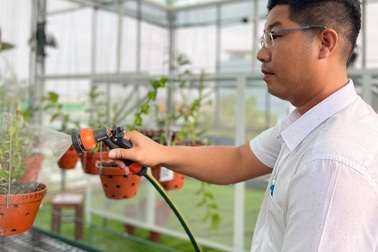 Nghệ nhân Trần Ngọc Dương chia sẻ bí quyết chăm sóc lan vào mùa hè