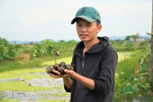 Nuôi con nhiều tháng "ngủ không ăn", chàng trai trẻ chờ ngày đếm tiền