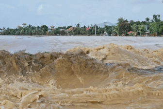 Nhiều nơi ngập sâu, lũ tiếp tục dâng, người dân Nha Trang đưa ô tô lên cao