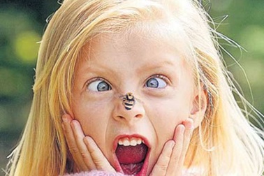 Những “chiêu” đối phó với côn trùng cắn khi đi du lịch