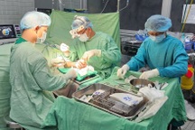 Ẩu đả với hàng xóm, người đàn ông 40 tuổi bị chém đứt cả 2 bàn tay