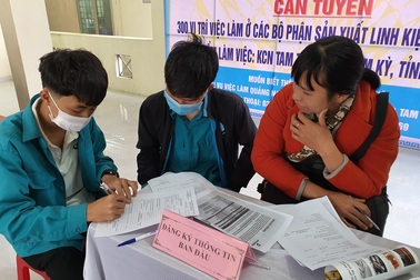 Quảng Nam: Tập đoàn của CHLB Đức tuyển 300 lao động