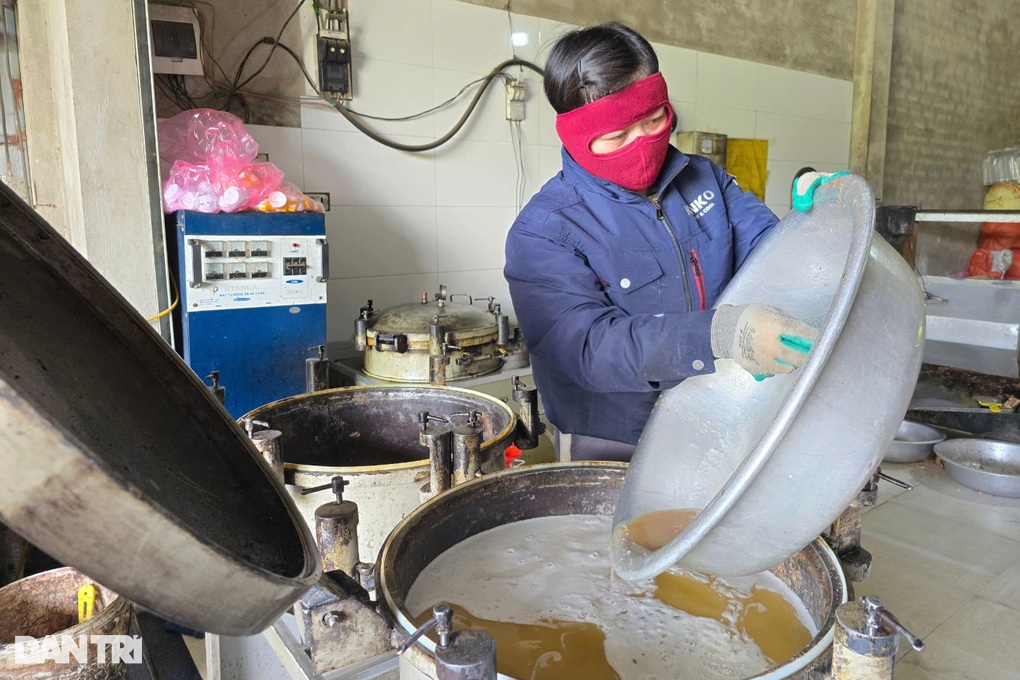Người dân đổ xô đi ép dầu lạc vì lo ngại dầu ăn “bẩn” - 2 Người dân đổ xô đi ép dầu lạc vì lo ngại dầu ăn “bẩn” - 2