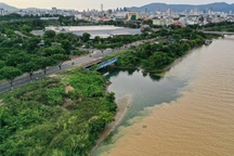 Nước thải đen ngòm đổ thẳng ra sông ở Đà Nẵng