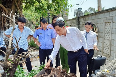 Vụ chặt cây trên đất đã mua suýt ngồi tù: Lại trả hồ sơ điều tra bổ sung!