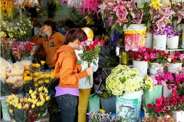 Cần Thơ: Thị trường hoa tươi cho ngày 8/3 bắt đầu tăng giá
