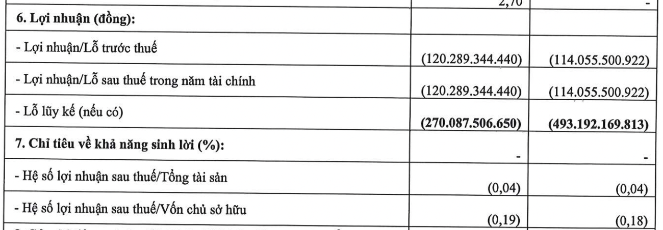 Một doanh nghiệp điện gió lỗ trăm tỷ, nợ gấp 19 lần vốn chủ sở hữu - 1