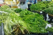 Hợp tác xã rau sạch ở Hà Nội trà trộn rau "bẩn" bán cho siêu thị