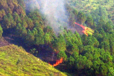 Khởi tố vụ cháy hơn 200ha rừng về tội hủy hoại tài sản