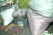 Khởi tố vụ án thuốc ung thư chế bằng bột than tre