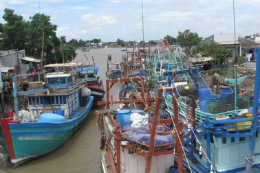 Vụ cử cán bộ đi nước ngoài học quản lý tàu cá: Rút bớt 12 người