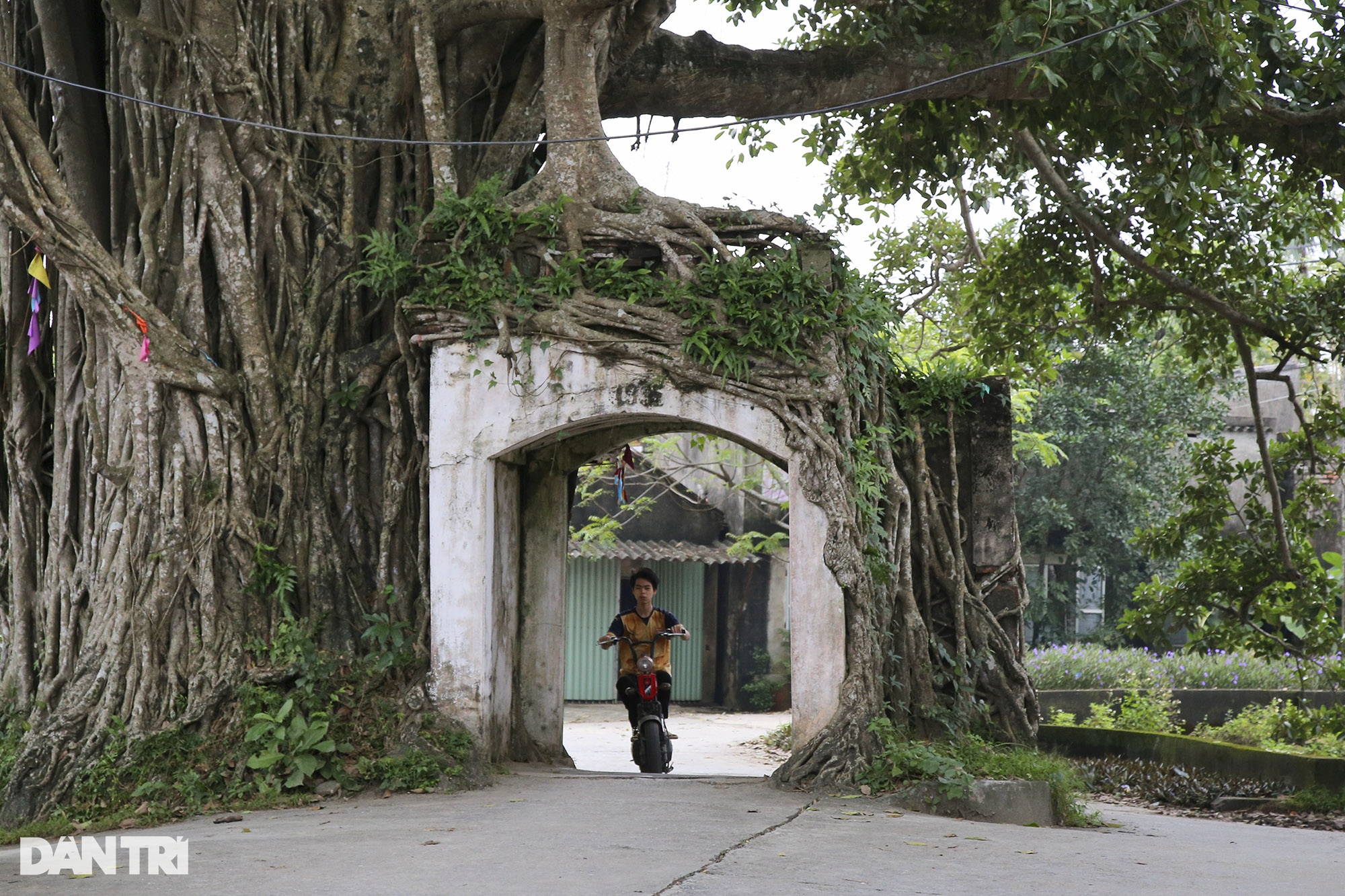 Không gian làng ngoại thành Hà Nội chật chội như trong phố - 13