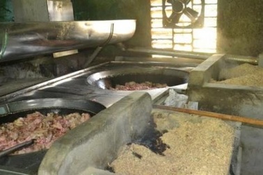 Hàng tấn mỡ bẩn chế biến gần nhà vệ sinh ở Đà Nẵng "trôi" về đâu?