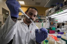 70 vắc xin trị Covid-19 đang được phát triển