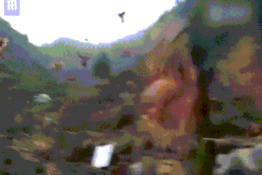 Đàn gà bay ào ào như chim ở Trung Quốc