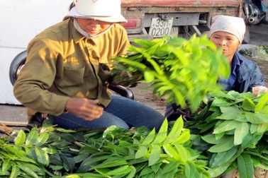 Buôn lá làm hàng cho quả: Kiếm 15 triệu/tháng