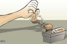 “Giáo sư nhiều thế, dân… nuôi sao nổi!?”