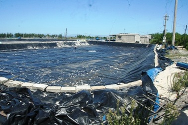 Tỉnh “giải cứu” những hồ nuôi tôm tự gây ô nhiễm