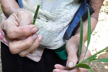 Ghê rợn các kiểu phá thai… thủ công