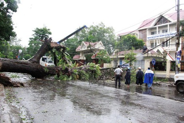 Hơn 10 người thiệt mạng, nhiều người mất tích do bão số 12