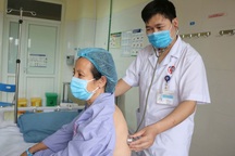 Người phụ nữ nguy kịch tính mạng vì bị ong vò vẽ tấn công